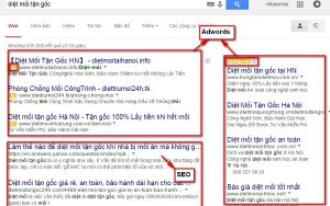 google ads hay seo?